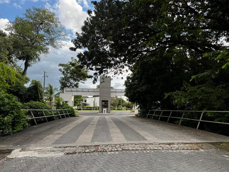 Calle adoquinada de acceso con árboles a ambos lados y el pórtico al fondo
