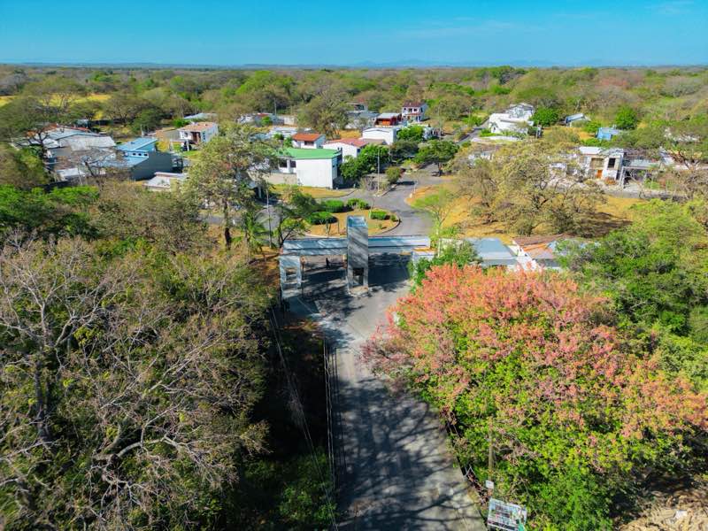 Vista aérea de la calle de entrada entre árboles en flor, con el pórtico y casas al fondo
