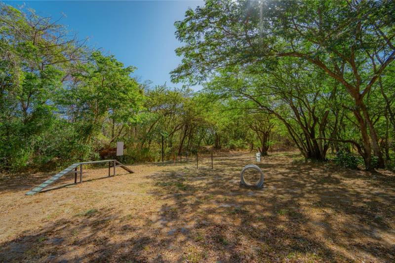 Parque canino bajo los árboles, con rampa, llanta y postes de agilidad